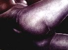 David Morales - Er&oacute;tica